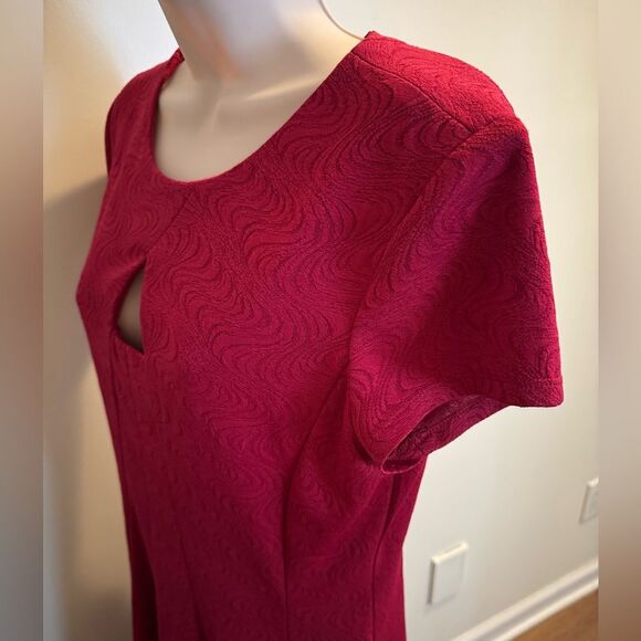 Danny and Nicole red dress size 10 - Picture 8 of 9